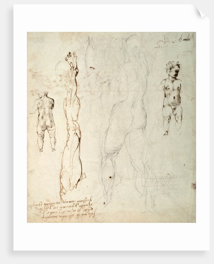 Study of the Christ Child and an Anatomical Drawing with Notes by Michelangelo Buonarroti