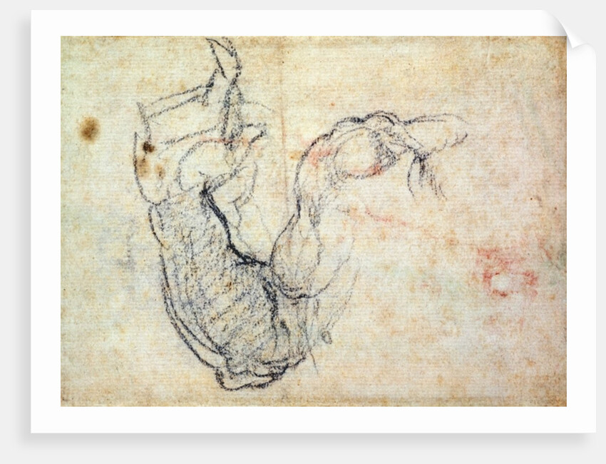 Preparatory Study for the Arm of Christ in the Last Judgement, 1535-41 by Michelangelo Buonarroti