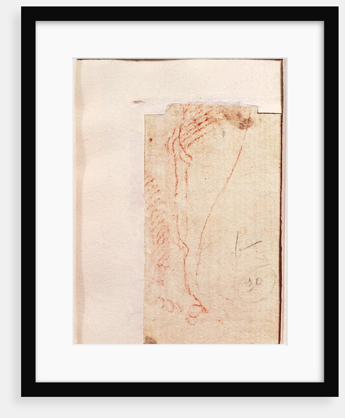 Study of Christ's feet nailed to the Cross by Michelangelo Buonarroti