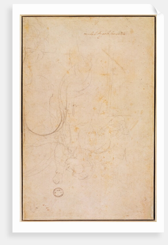 Sketch of a figure with artist's signature by Michelangelo Buonarroti