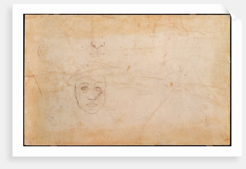 Study of a male head by Michelangelo Buonarroti