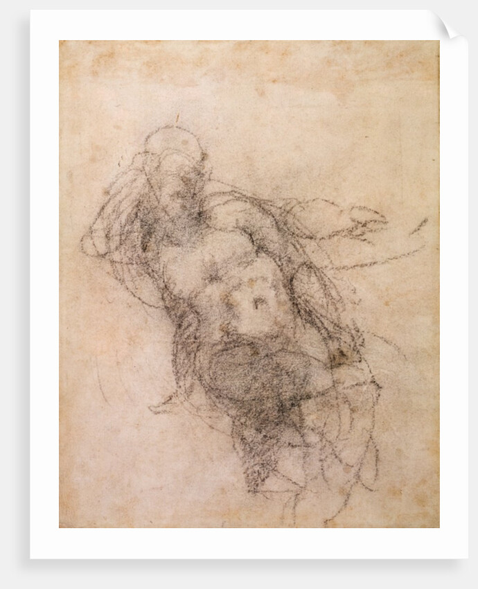 Study for Noah in 'The Drunkenness of Noah', 1508-12 by Michelangelo Buonarroti