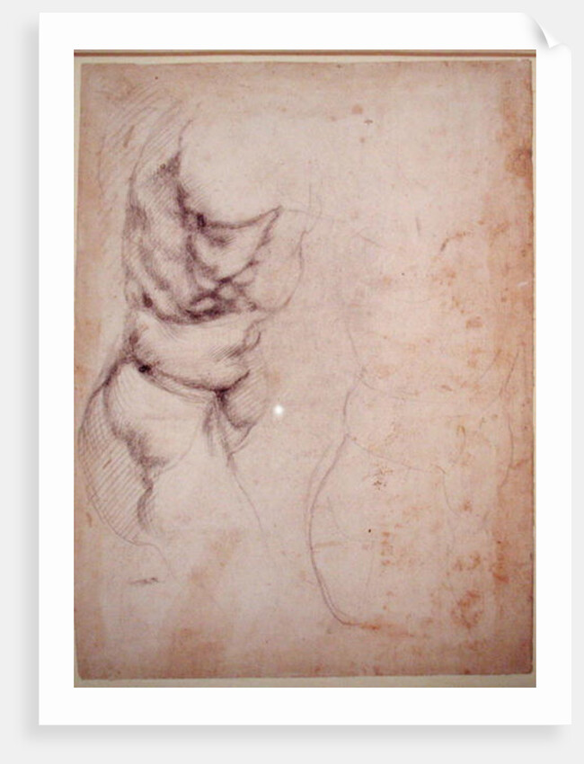 Study of torso and buttock by Michelangelo Buonarroti