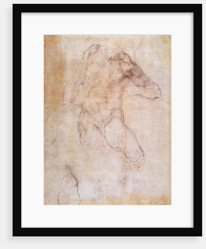 Study of a male nude by Michelangelo Buonarroti