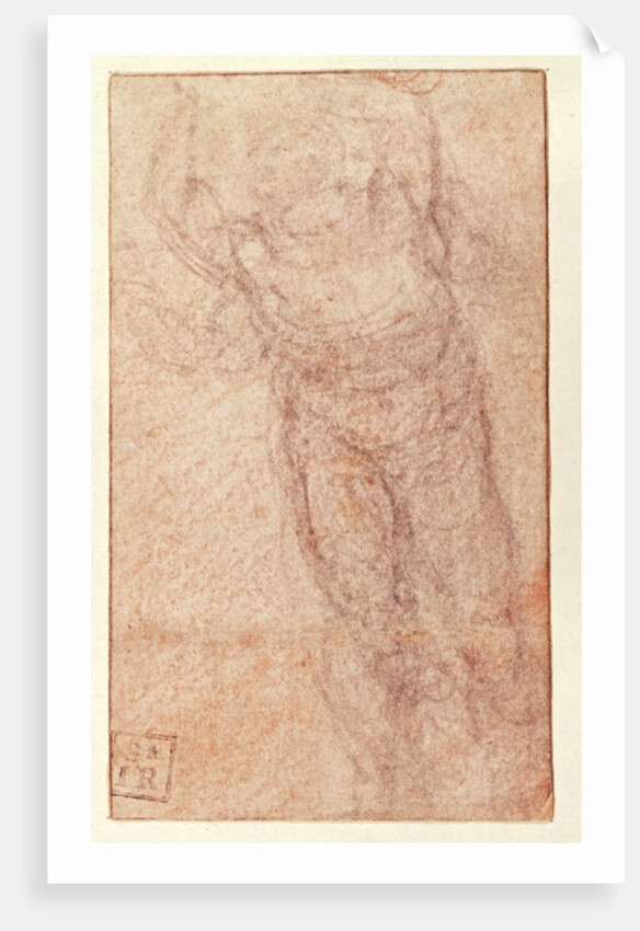 Study for 'The Resurrection', c.1532-34 by Michelangelo Buonarroti