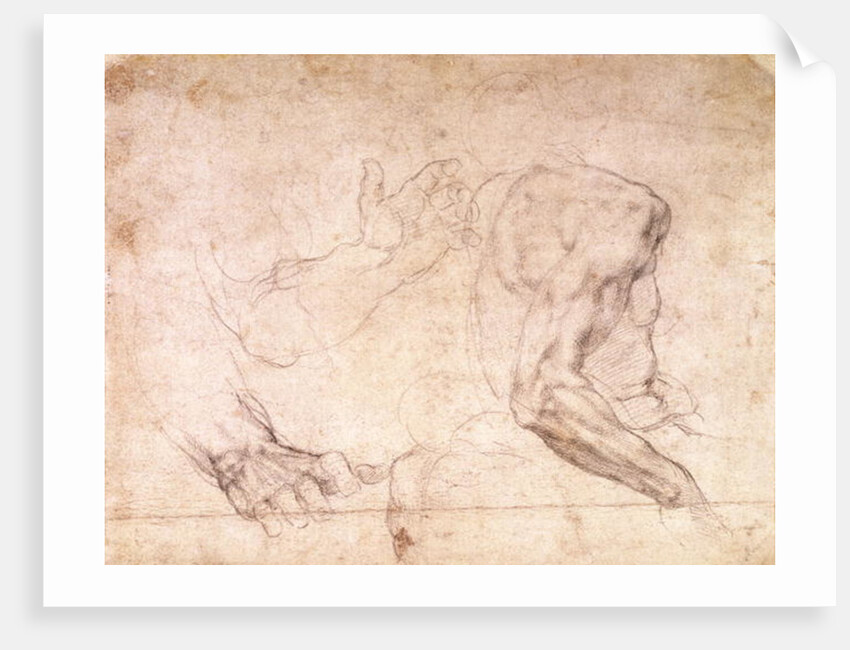 Studies of hands and an arm by Michelangelo Buonarroti