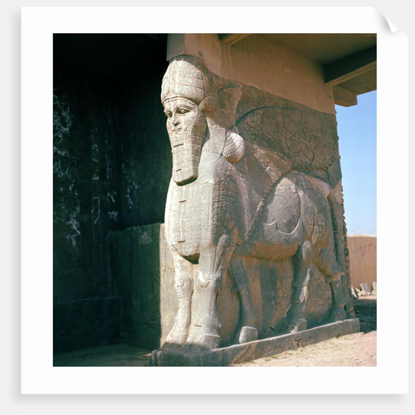 Winged human-headed bull, Neo-Assyrian Period, reign of Ashurnasirpal II by Assyrian