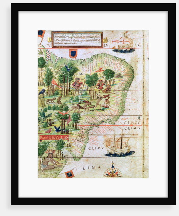 Brazil from the 'Miller Atlas' by Pedro Reinel, c.1519 by Portuguese School