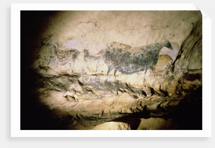 Rock painting of a black cow, c.17000 BC by Anonymous