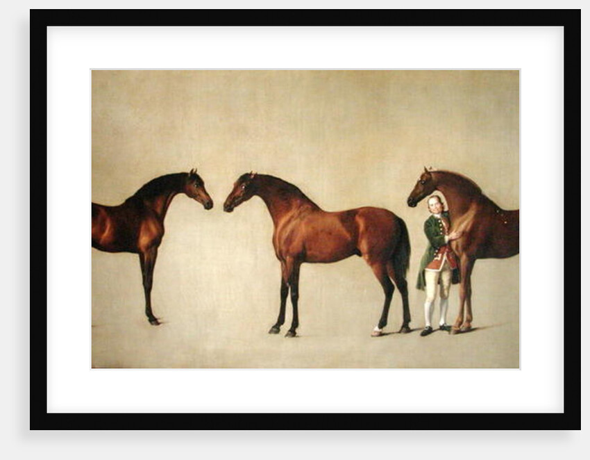 Whistlejacket and two other Stallions with Simon Cobb, the Groom, 1762 by George Stubbs