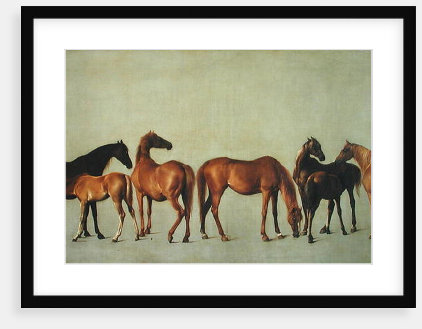 Mares and Foals without a Background, c.1762 by George Stubbs