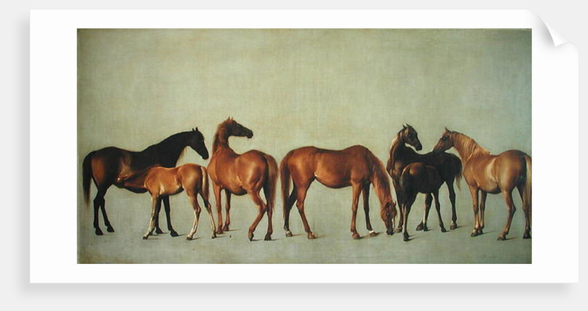 Mares and Foals without a Background, c.1762 by George Stubbs