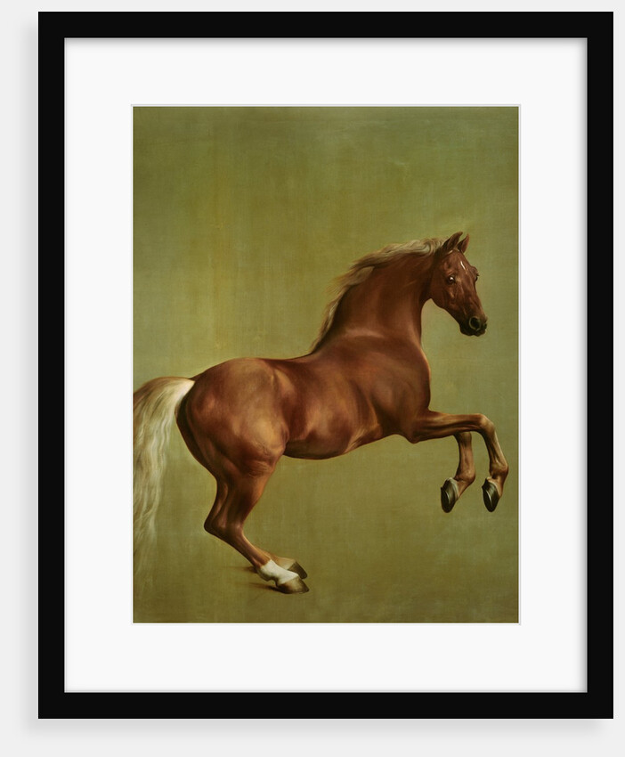Whistlejacket, 1762 by George Stubbs