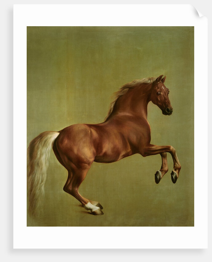 Whistlejacket, 1762 by George Stubbs