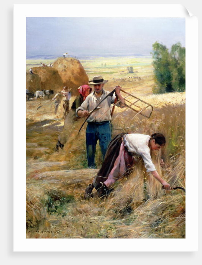 Harvesting by Julien Dupre