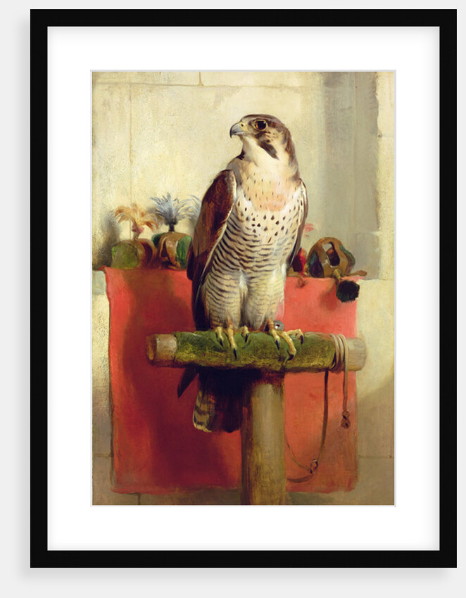 Falcon, 1837 by Edwin Landseer