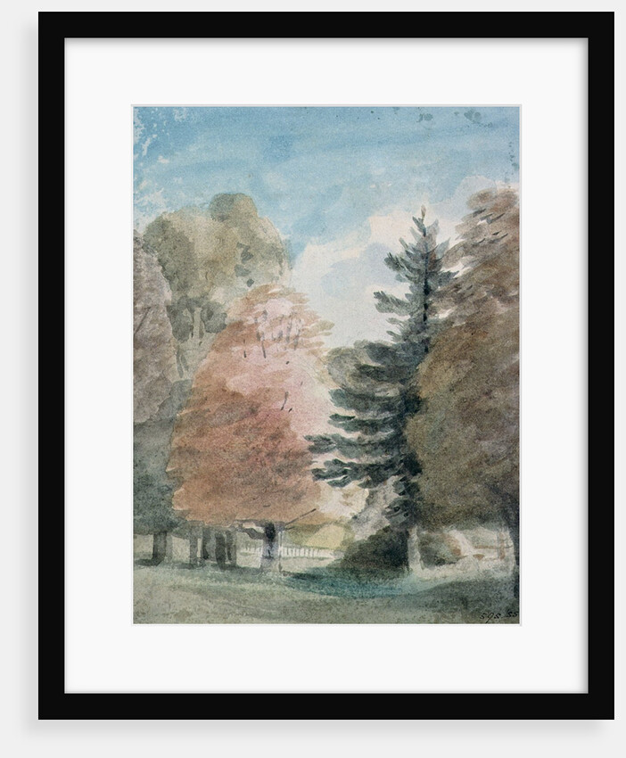 Study of Trees in a Park by John Constable