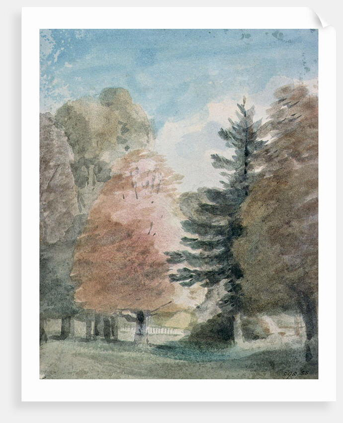 Study of Trees in a Park by John Constable