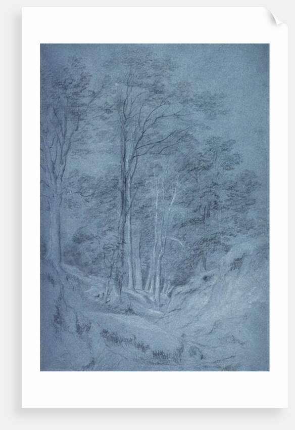 Study of ash and other trees by John Constable