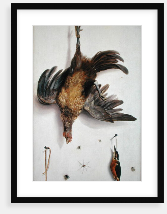 A Hen and a Kingfisher Hanging on a String by Jacobus Biltius