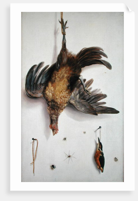 A Hen and a Kingfisher Hanging on a String by Jacobus Biltius