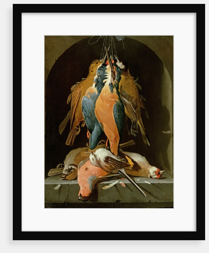 Still life of birds by Abraham Mignon