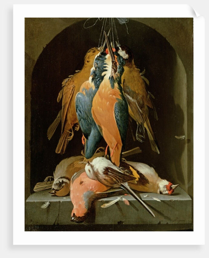 Still life of birds by Abraham Mignon