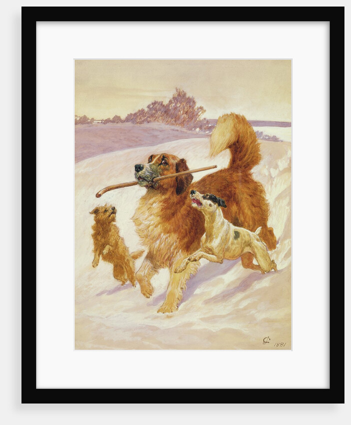 Three dogs playing in the snow, 1881 by John Charlton
