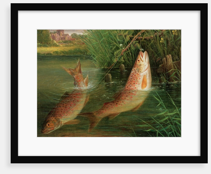 Trout at Winchester by Valentine Thomas Garland