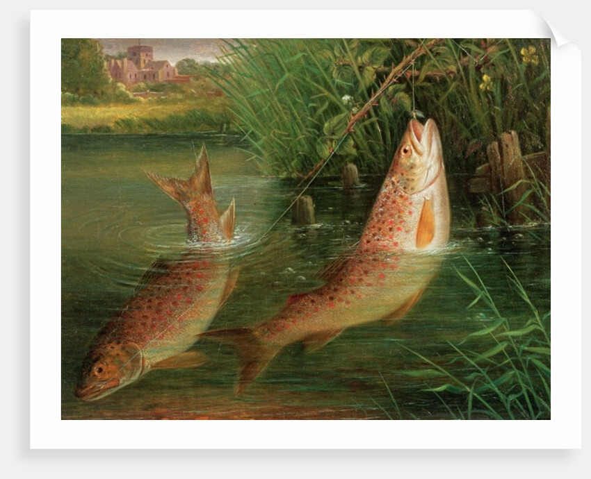 Trout at Winchester by Valentine Thomas Garland