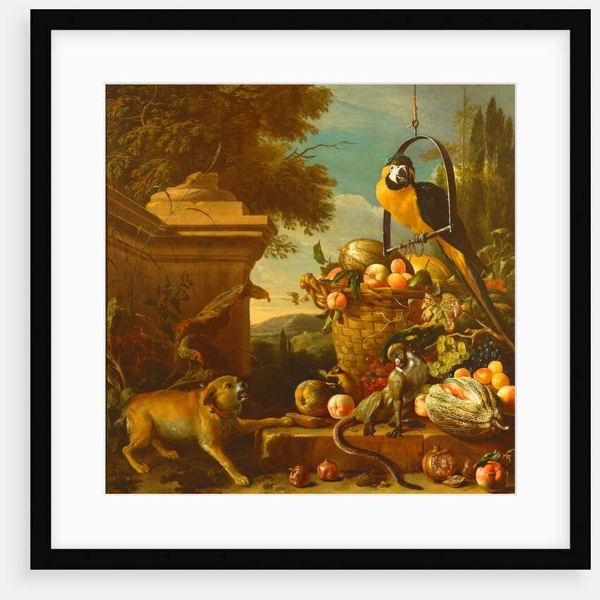 Macaw and a monkey by Melchior de Hondecoeter