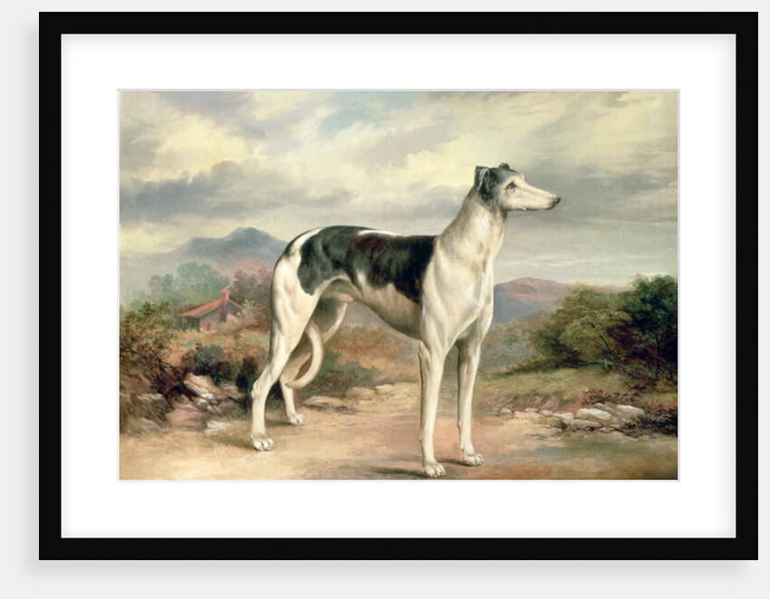 A Greyhound in a hilly landscape by James Henry Beard