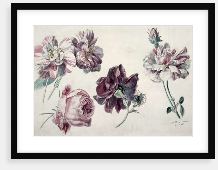 Roses by Lawrence Alma-Tadema