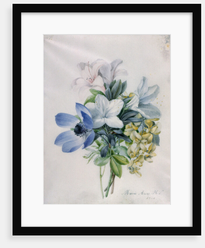 Anemone, wisteria and laburnum by Marie-Anne