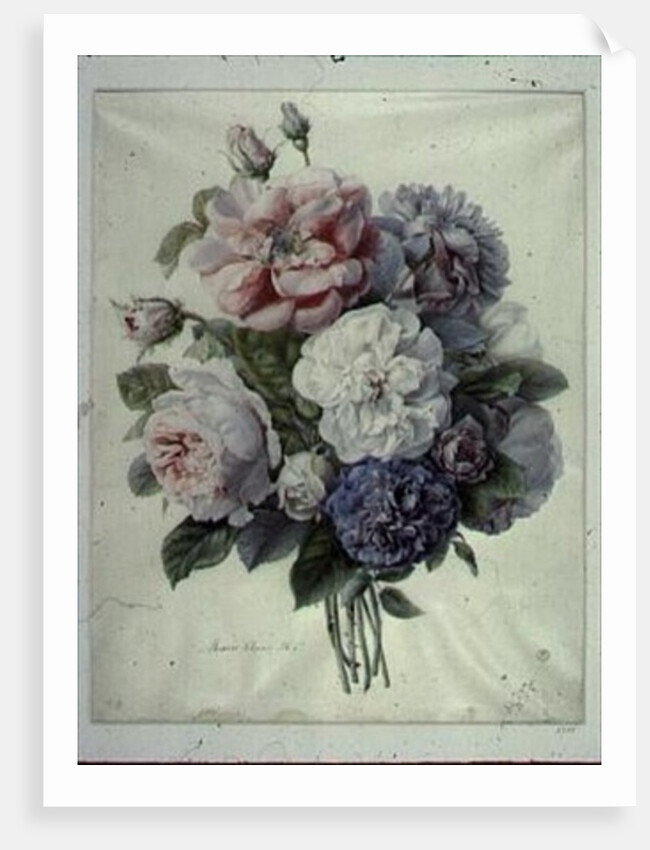 Flower Pieces by Marie-Anne