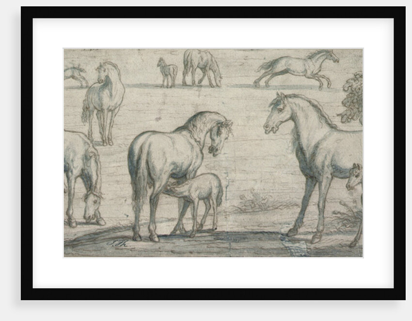 Mares and Foals, 17th century by Francis Barlow