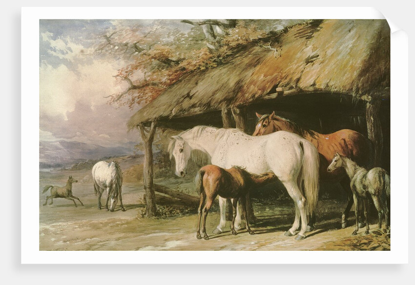 Mares and Foals, 19th century by William Barraud