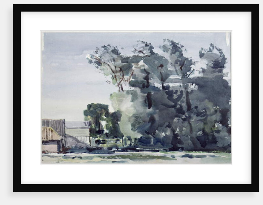 Trees - Dawn by Harry Becker