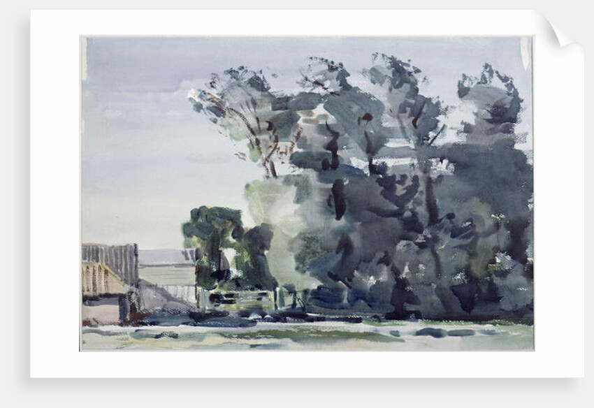 Trees - Dawn by Harry Becker