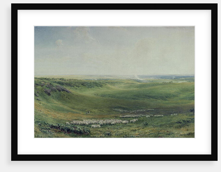 Wide Pastures, Sussex by Thomas Collier