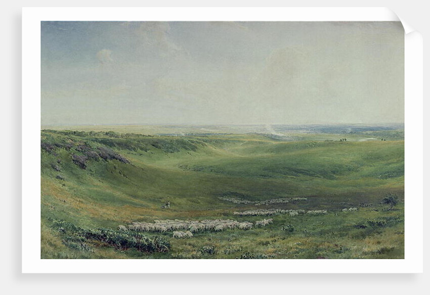 Wide Pastures, Sussex by Thomas Collier