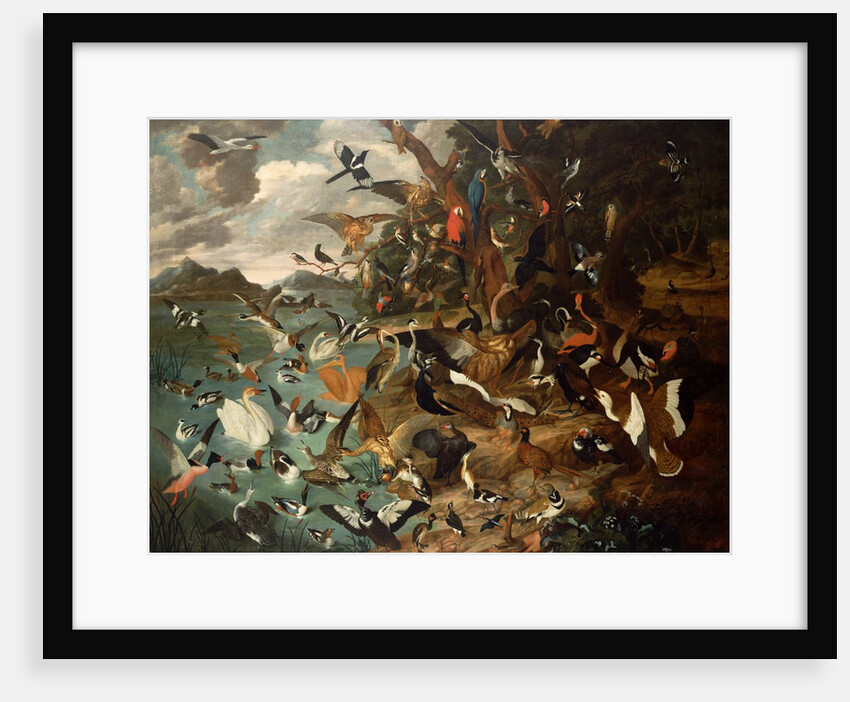 The Parliament of Birds by Carl Wilhelm de Hamilton