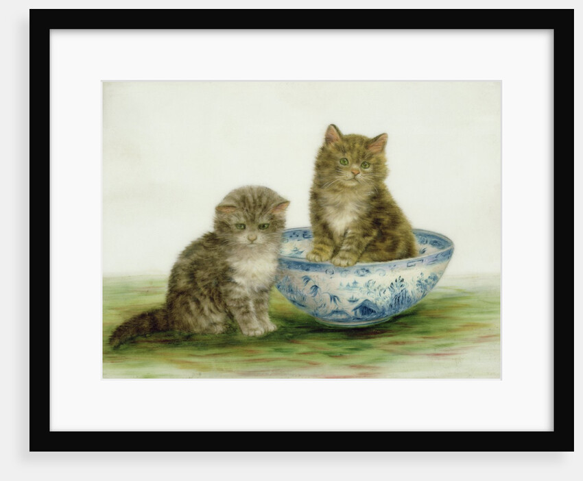 Kitten in a Blue China Bowl by Bessie Bamber