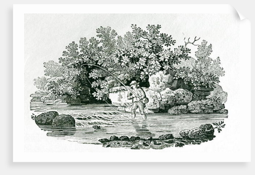 An Angler in a River Pool by Thomas Bewick