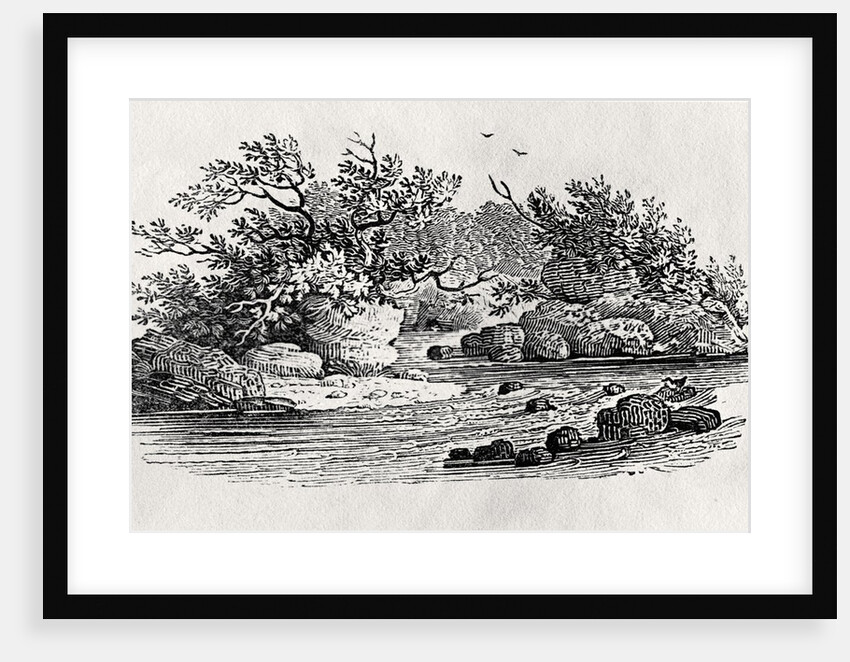 A bend in the river by Thomas Bewick