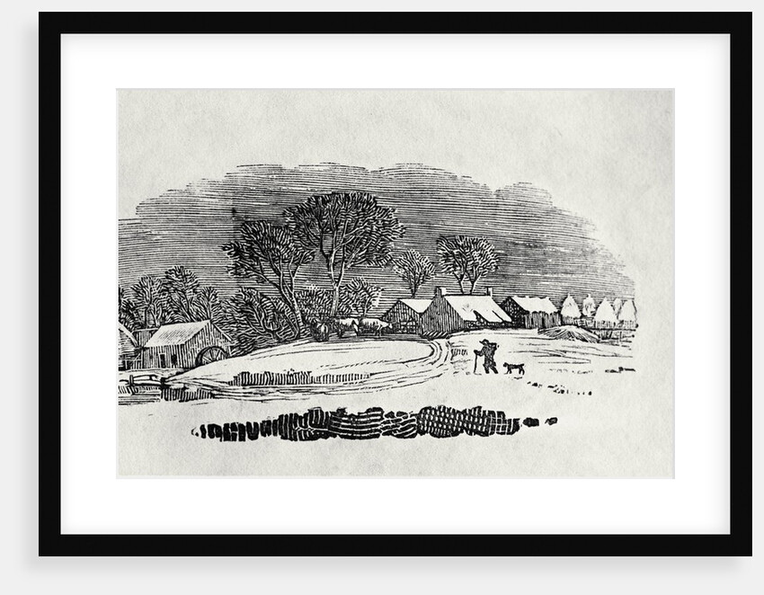 Endpiece, late 18th or early 19th century by Thomas Bewick