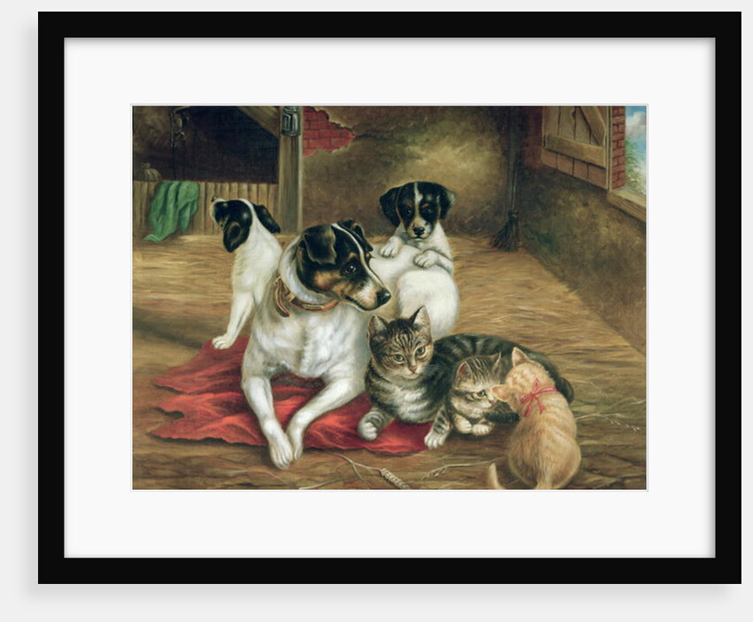 Stable friends by English School