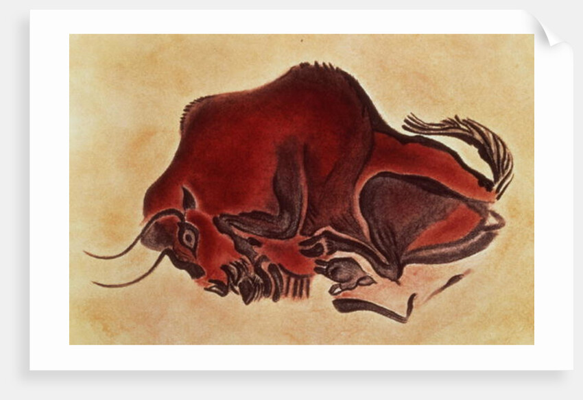 Rock painting of a bison, late Magdalenian, 13000 BC by Anonymous