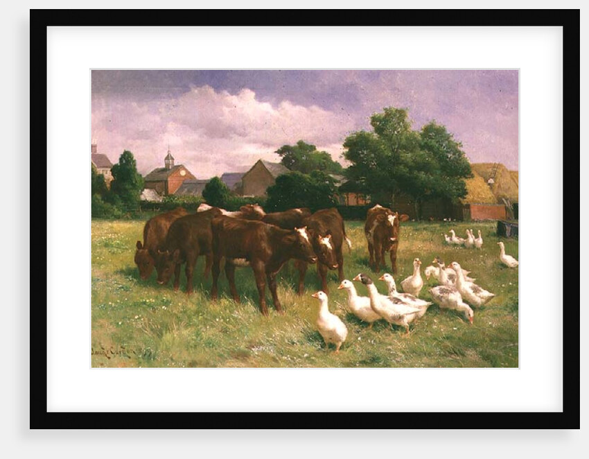 Cows and Ducks by Claude Cardon