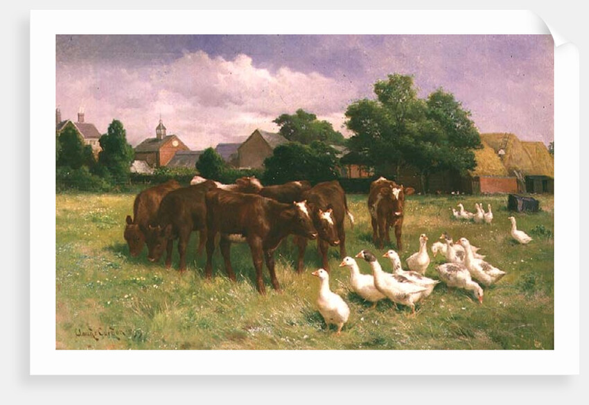 Cows and Ducks by Claude Cardon